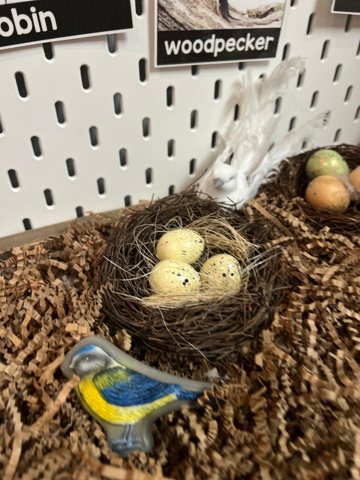 PHOTO-2026-04-07-14-30-33 2