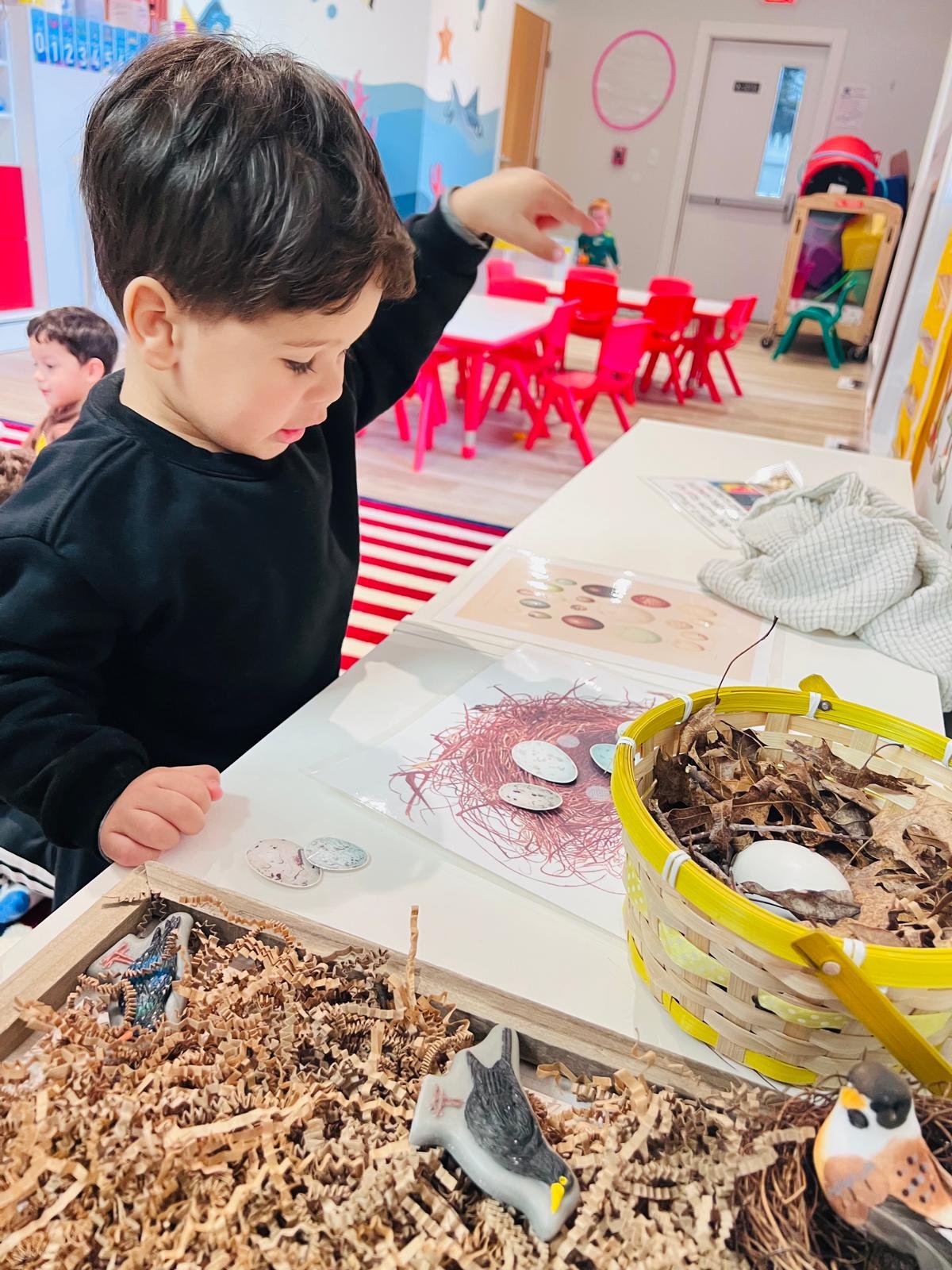 PHOTO-2026-04-07-14-30-34 9