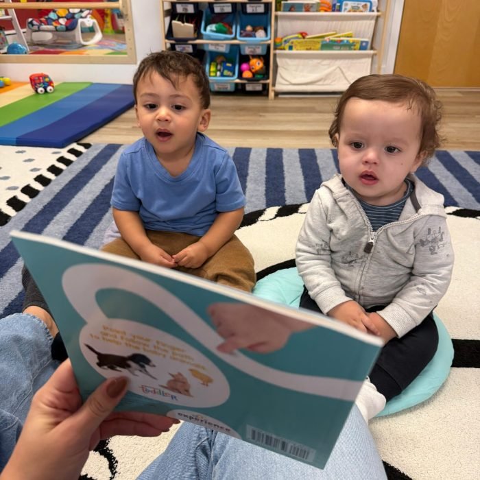 db00f79f-08b8-4890-be5c-1d789bfd7fb7